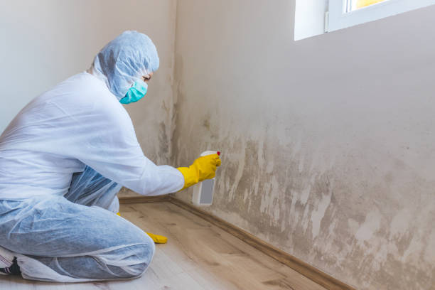 Licensed Crawl Space Mold Remediation service in Alexandria, VA - Car Mold Remediation