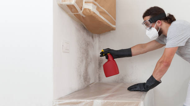 Professional Crawl Space Mold Remediation technician working in Alexandria, VA