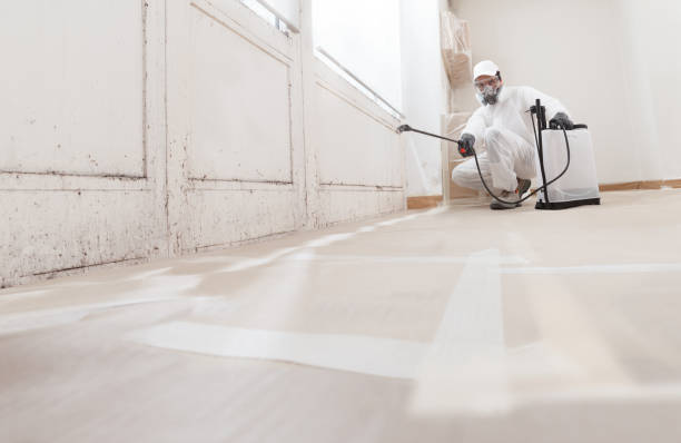 24/7 Emergency Crawl Space Mold Remediation experts in Alexandria, VA