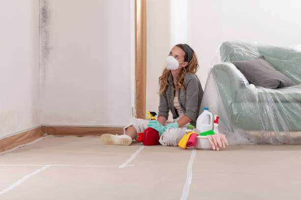 Reliable Crawl Space Mold Remediation contractor in Alexandria, VA by Car Mold Remediation